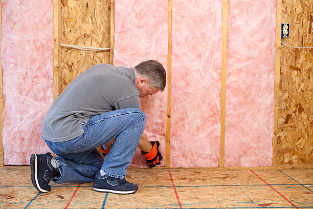 Best Spray Foam Insulation in St Helen, MI