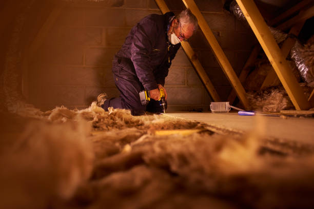 Best Cellulose Insulation in St Helen, MI